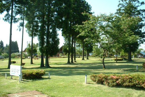 �C���[�W1
