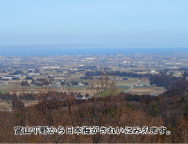 �x�R���삩����{�C�����ꂢ�ɂ݂��܂��B